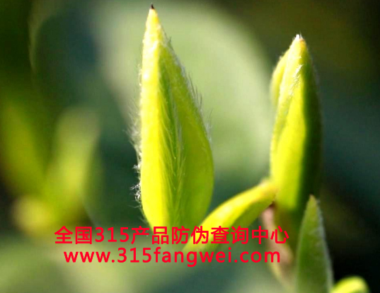 茶叶二维码防伪标识怎么做?-赤坤防伪公司